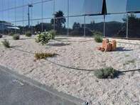 Cr�ation d'un espace avec des plantes grasses