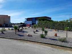 APRES - Cration des espaces verts du CESR  Rivesaltes, ct entre du site.